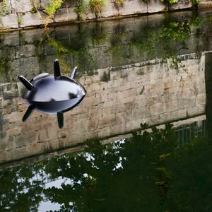 Drei kugelförmige Objekte mit Stacheln schwimmen im Wasser.