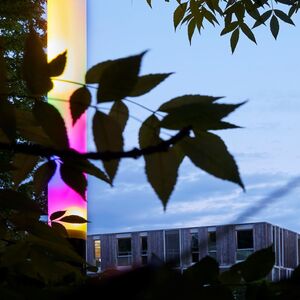Leuchtende, vertikale Lichtskulptur in Regenbogenfarben, umgeben von Bäumen und Sträuchern.