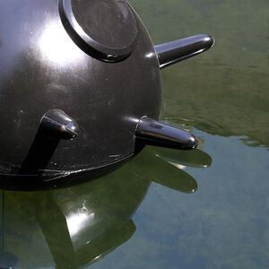 EIn kugelförmigesObjekte mit Stacheln  im Wasser.