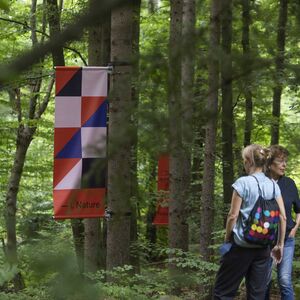 Dichter Wald mit Fahnen an Bäumen