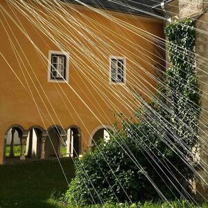 Ein begrünter Innenhof mit weisen Fäden duchzogen