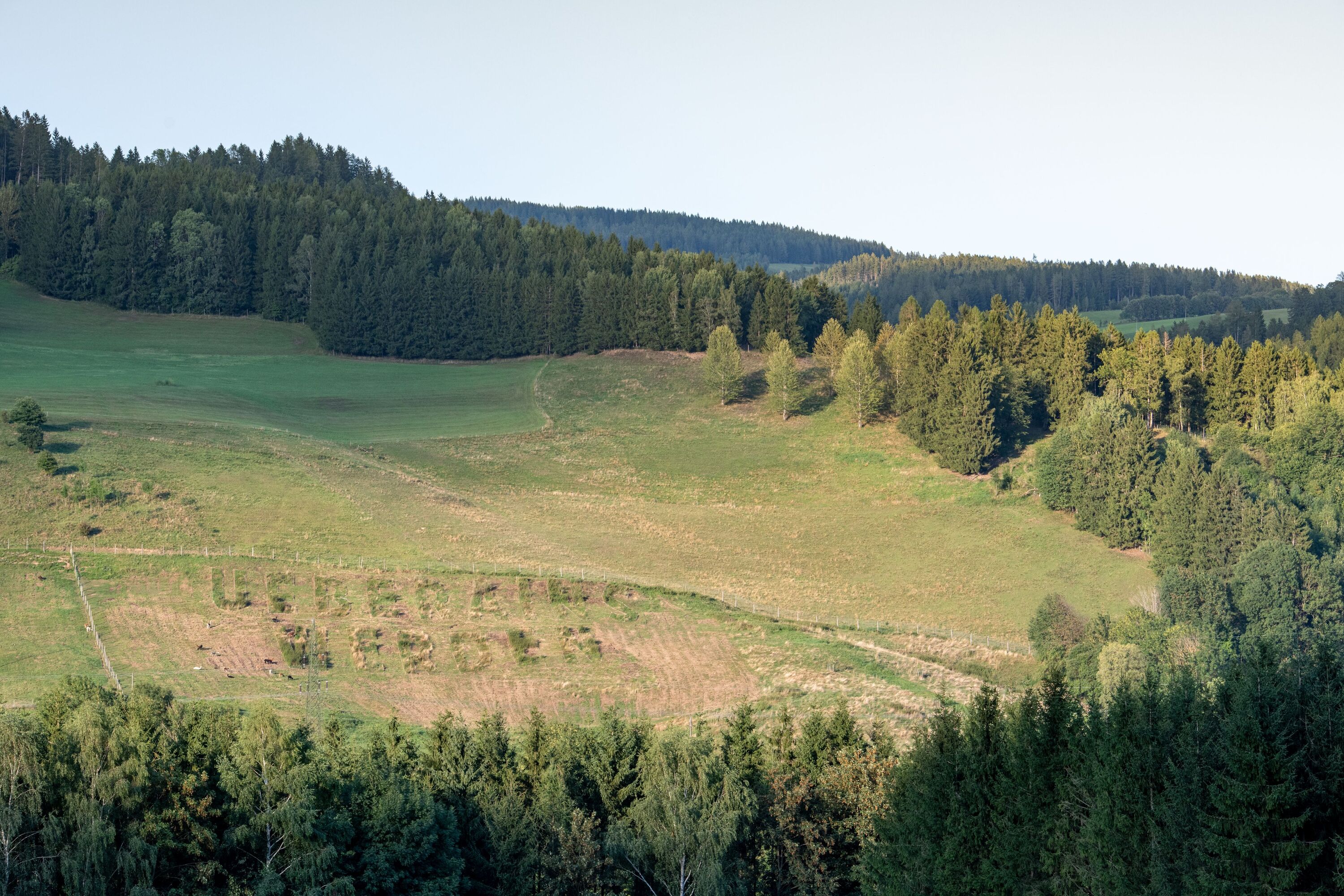 UEBERAINS WERDEN Buchstaben in eine grüne Wiese gemäht